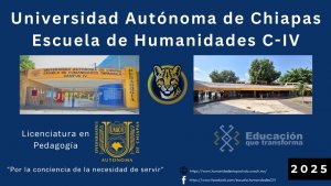 Licenciatura en Pedagog&iacute;a