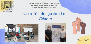 Comisión de Igualdad de Género